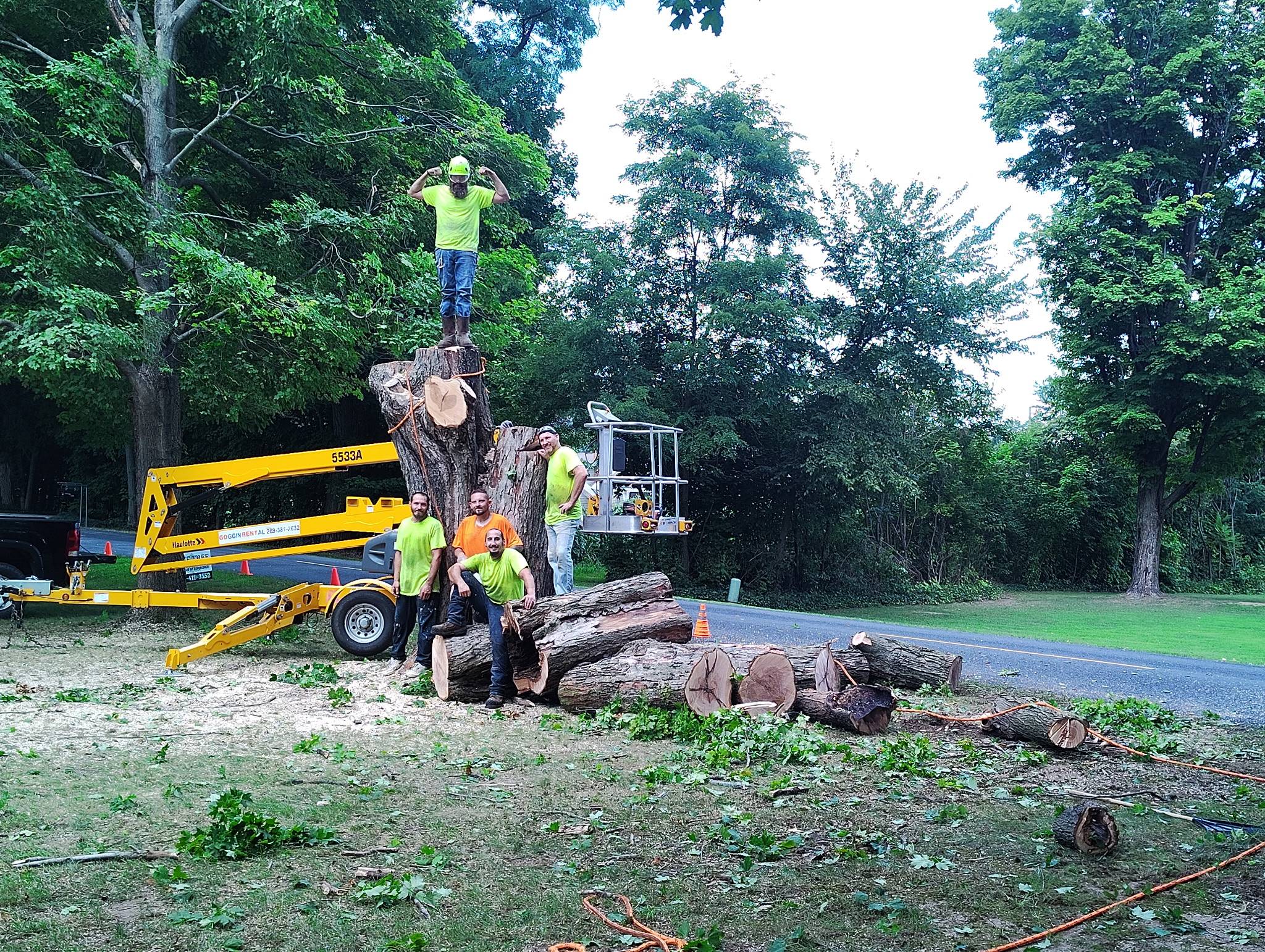 Pine Tree Tree Service Email Pull (5)