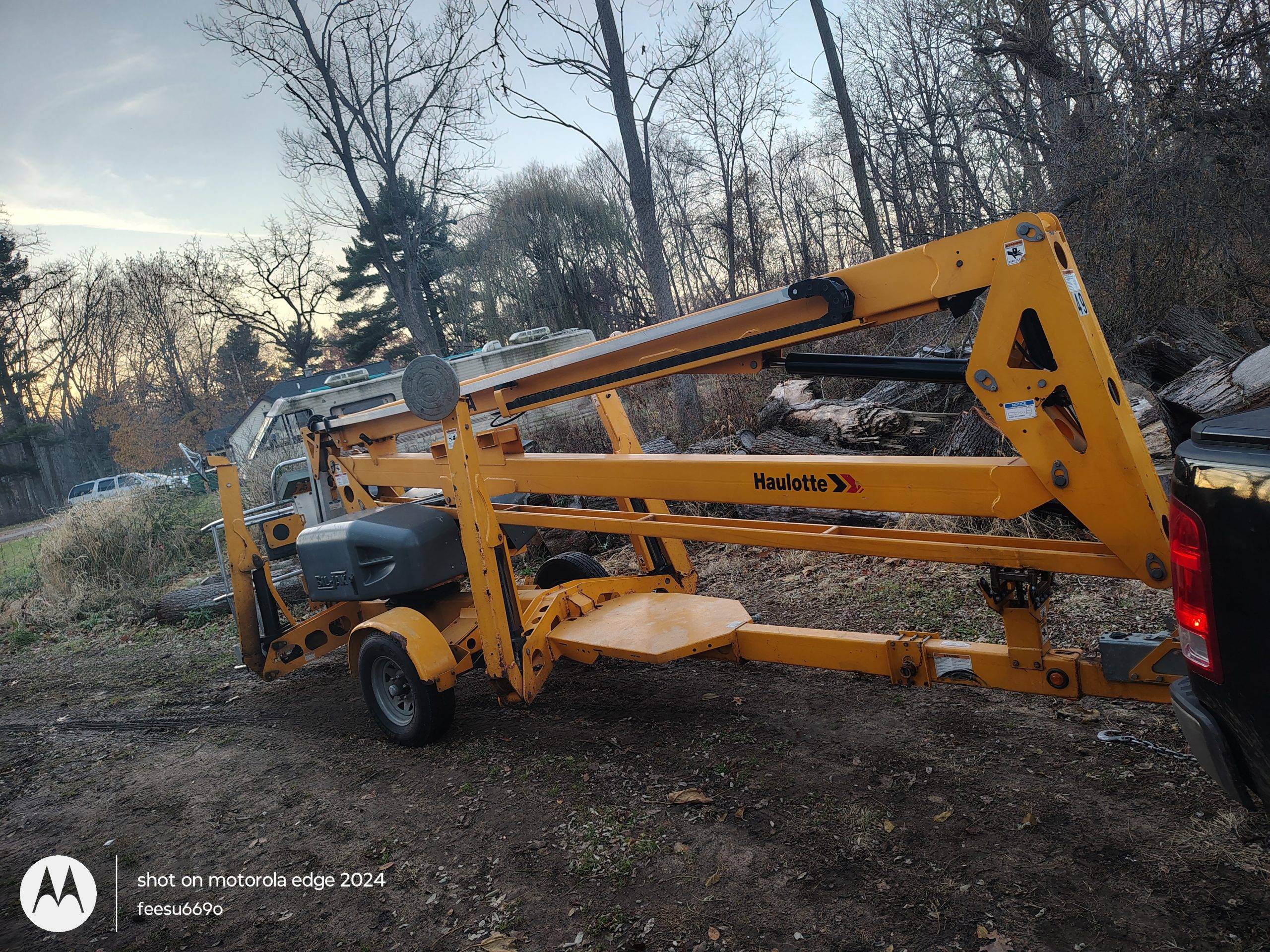 Pine Tree Tree Service Email Pull (6)